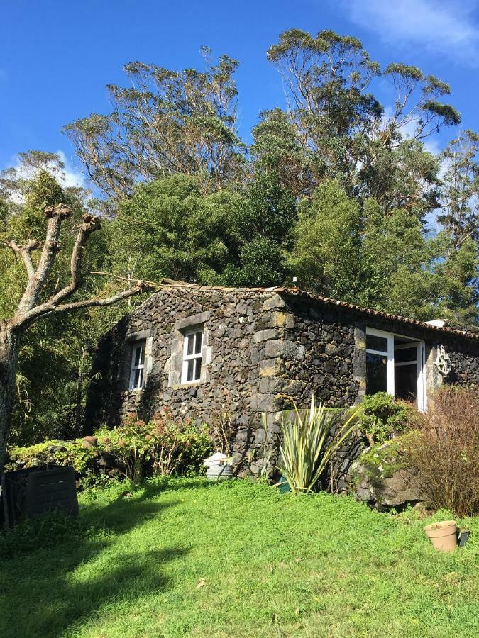 Pink House Azores Ponta Delgada  Exterior photo